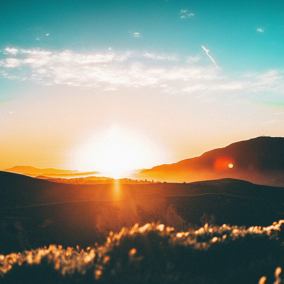 Celebrating God's Grace Among Us